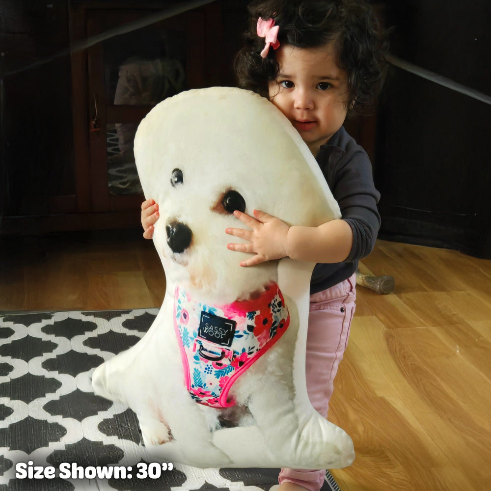 Almohada de Forma Personalizada