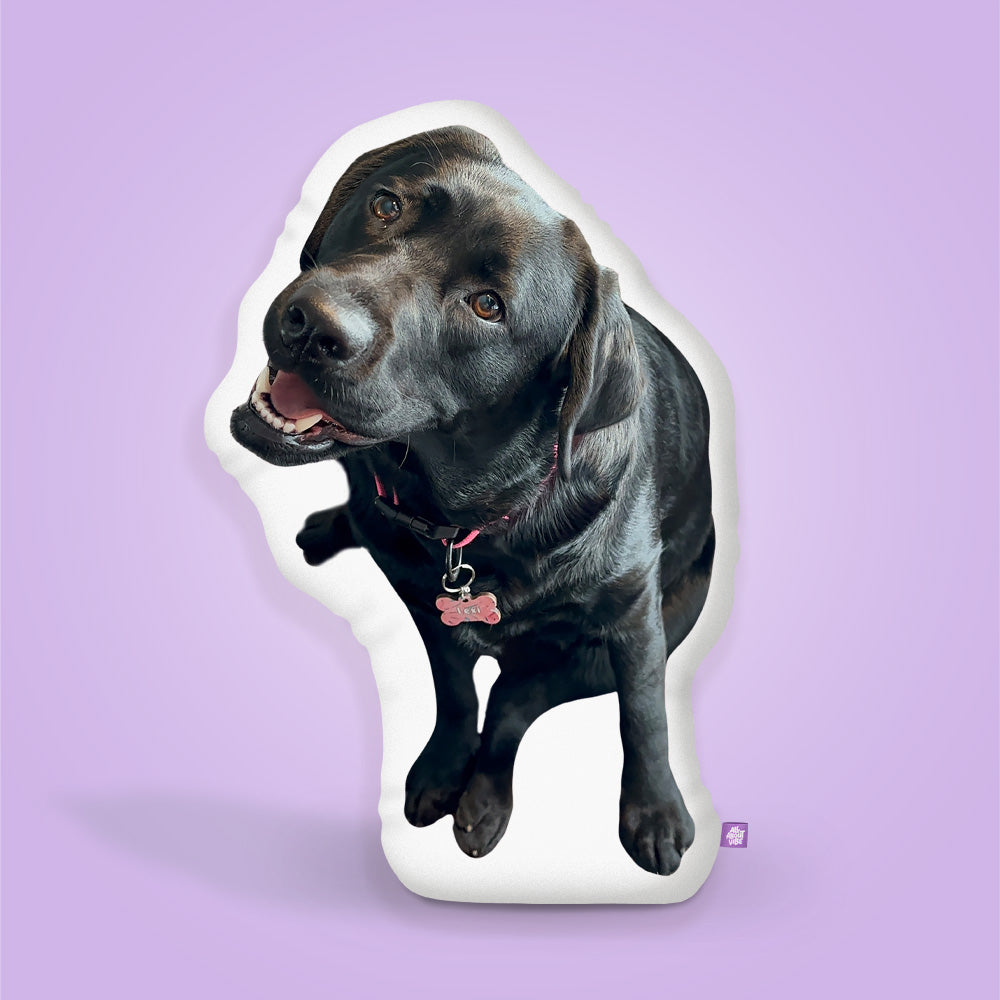 Lexi Labrador Pillow