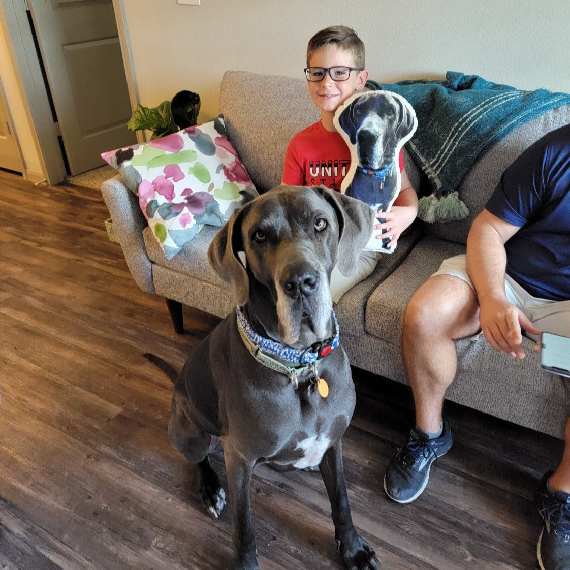 Great Dane Custom Shaped Pillow