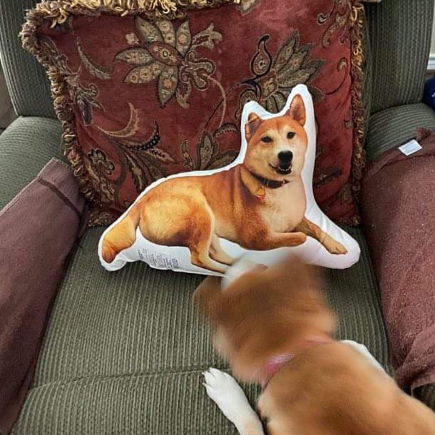 Akita Custom Shaped Pillow