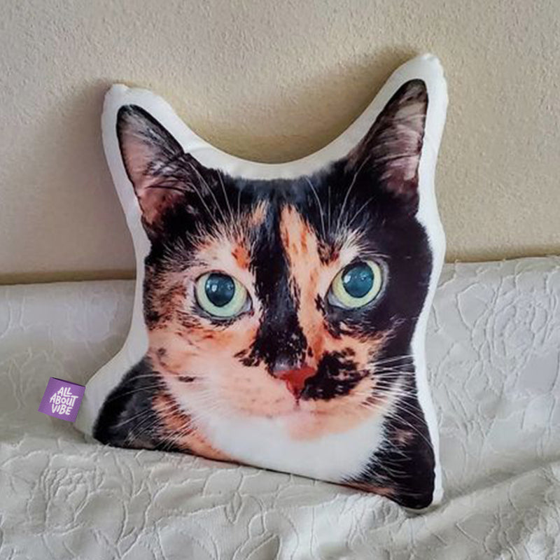 A Keepsake for the Cat Who Is Still Here, and the One Who Is Not