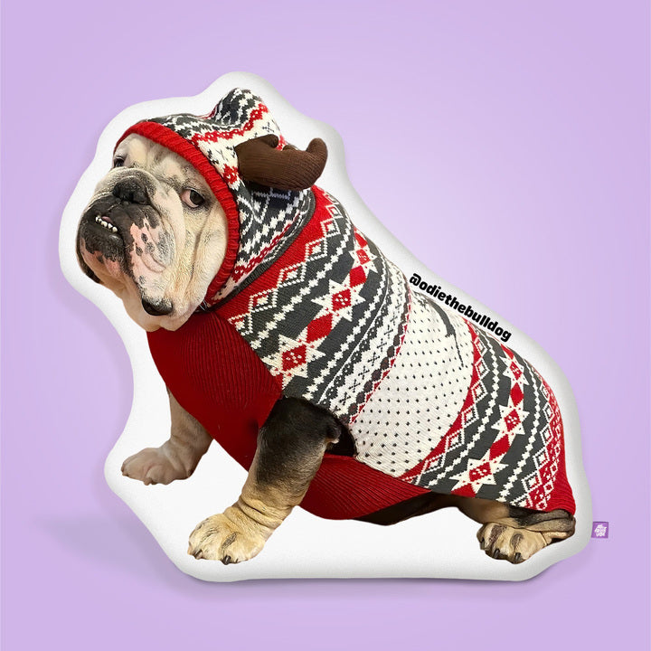 Christmas Bro Pillow