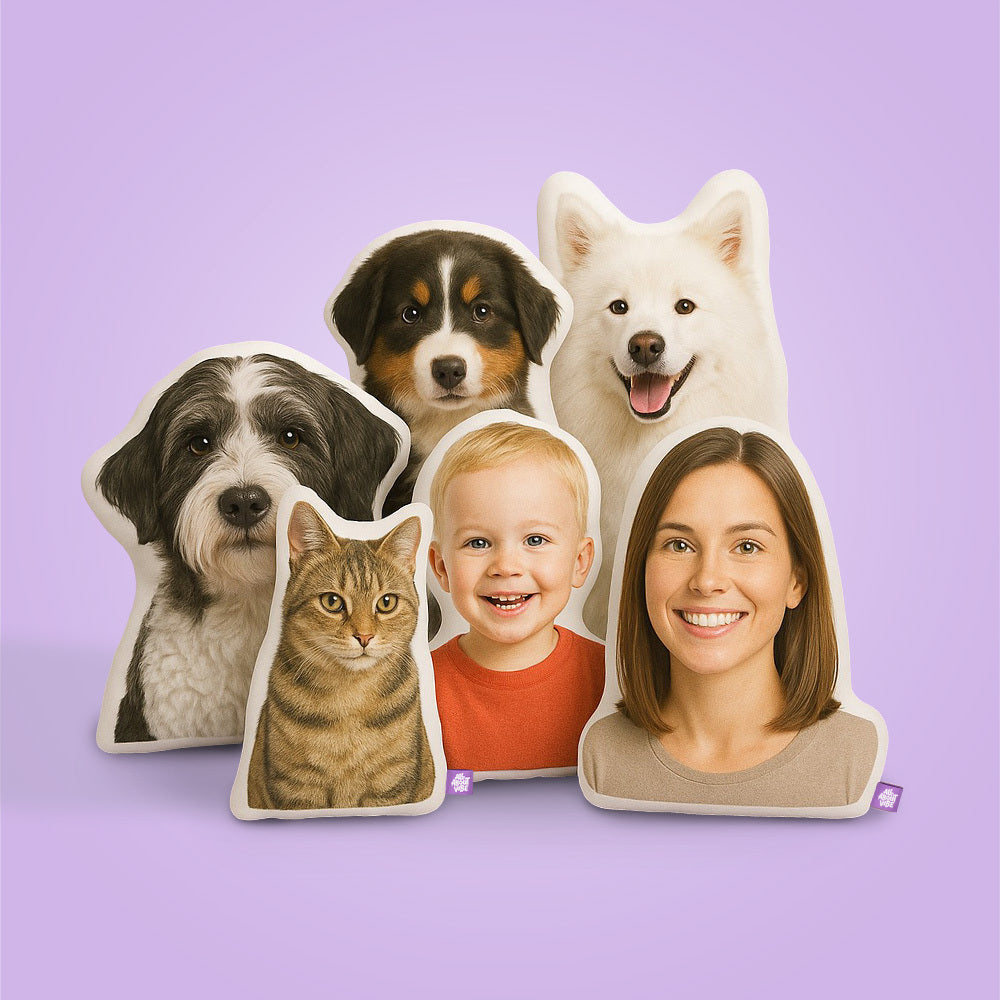 Almohada Personalizada en Forma de Axolotl