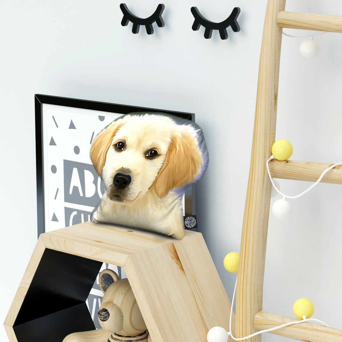 Custom Digital Illustration Pillow