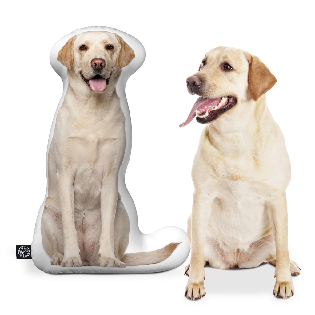 Labrador Retriever Throw Pillows All About Vibe