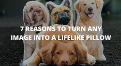 7 Reasons To Turn Any Image into a LifeLike Pillow
