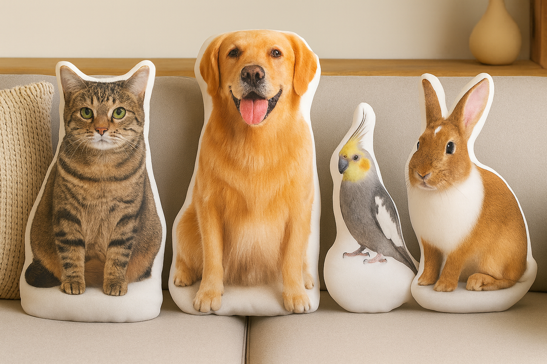 Why All About Vibe Pillows Make the Perfect Pet Memorial