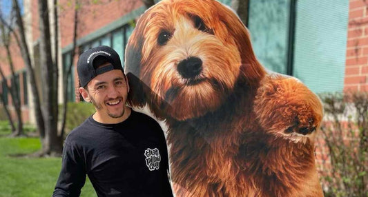 The Heartwarming Story Behind All About Vibe’s Customizable Pillows – America’s Most Trusted Custom Pillow Brand