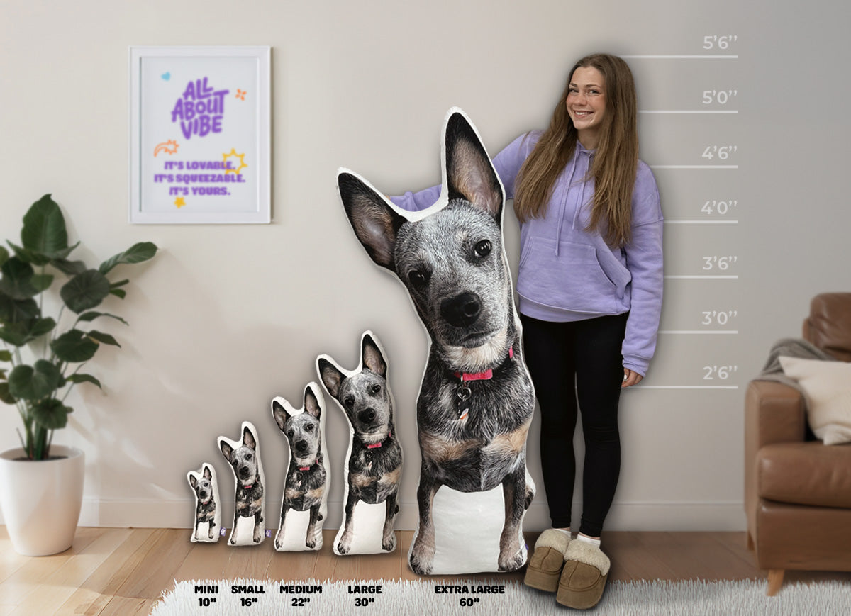 How Big Is That Pillow? Your Fun & Friendly All About Vibe Size Guide