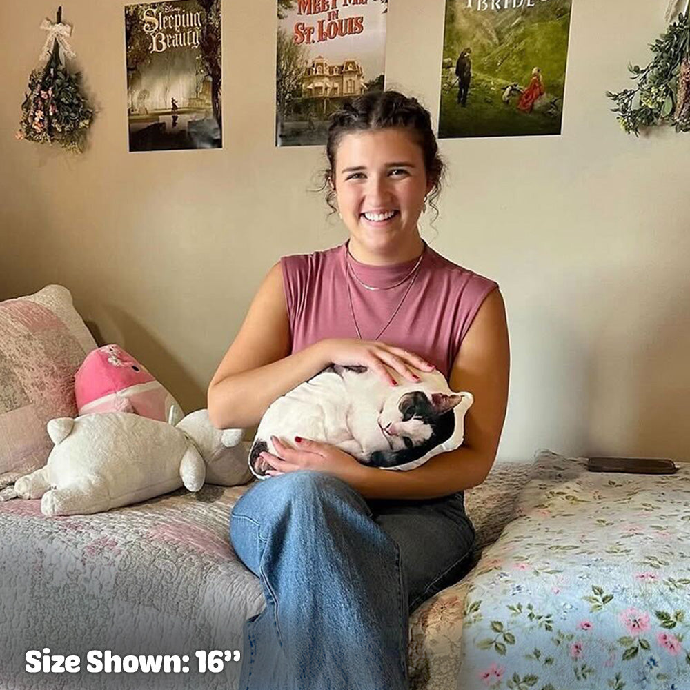 Custom Pet Pillow For Dorm Room