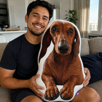 Custom Shaped Dachshund Pillow