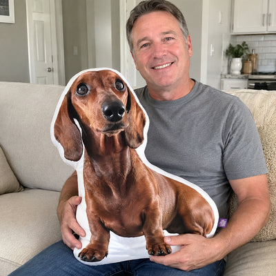 Custom Shaped Dachshund Pillow