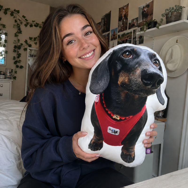 A Keepsake for the Dachshund Who Is Still Here, and the One Who Is Not