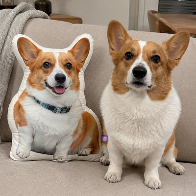 Custom Shaped Corgi Pillow