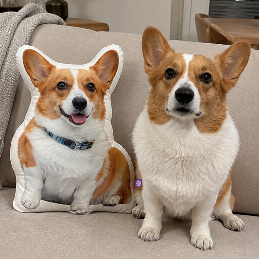 Custom Shaped Corgi Pillow