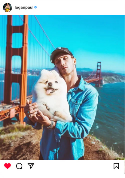 Almohada Personalizada en Forma de Axolotl