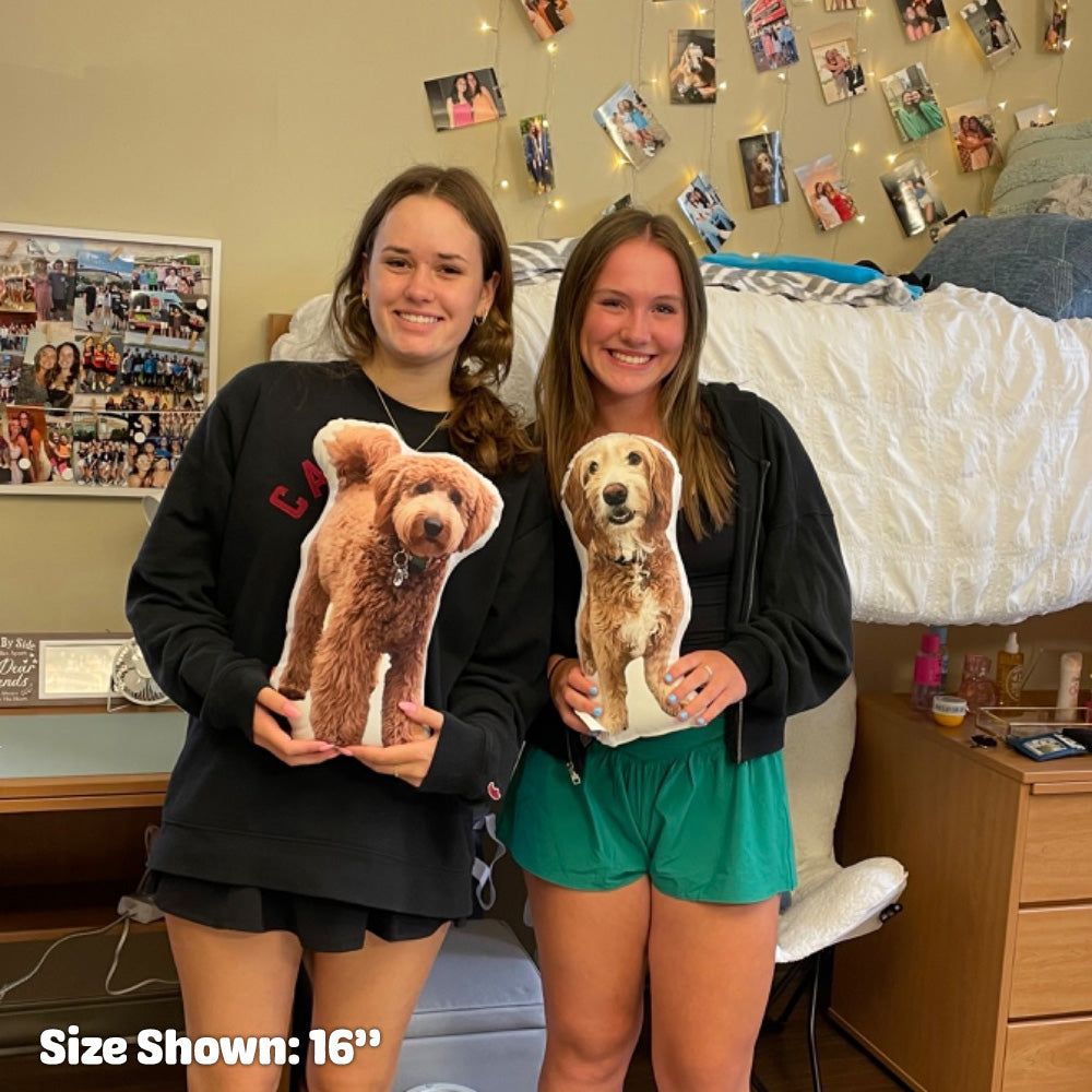 Custom Pet Pillow For Dorm Room