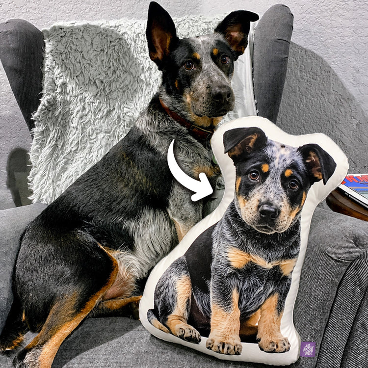 Almohada de Forma Personalizada