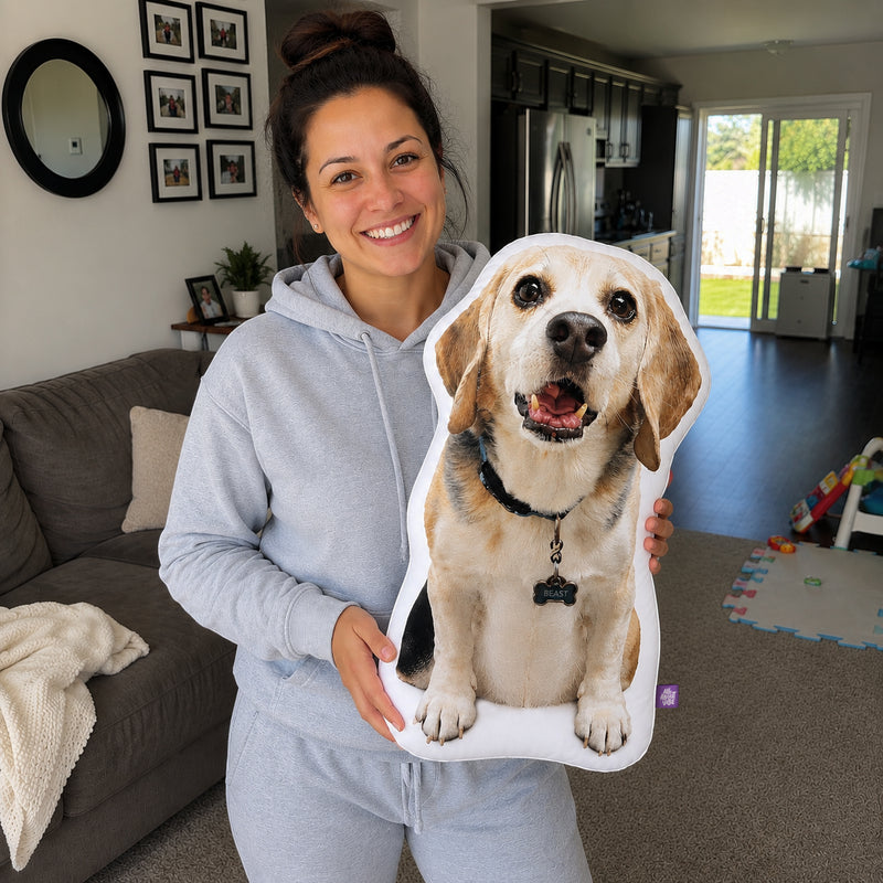 A Keepsake for the Beagle Who Is Still Here, and the One Who Is Not