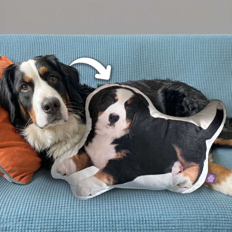 Almohada de Forma Personalizada