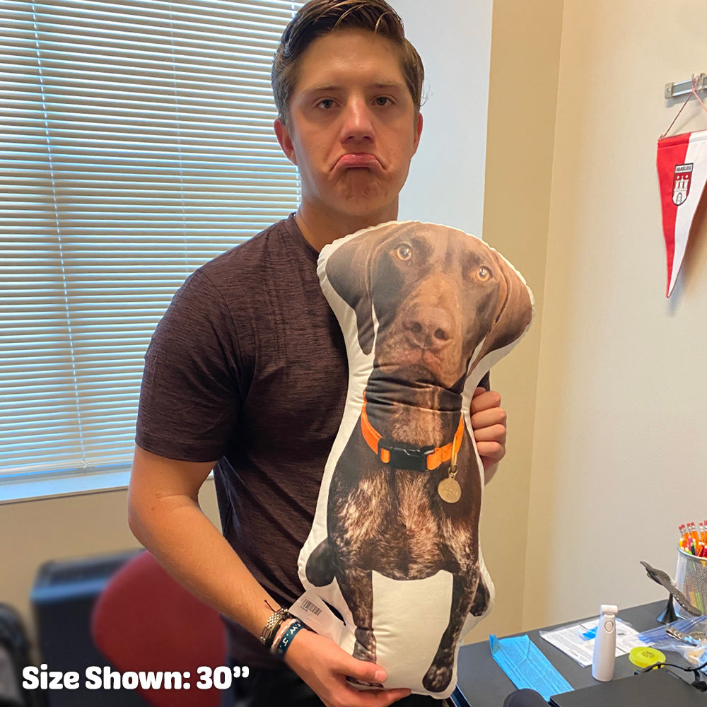 Custom Shaped Pillow For Pet Memorial