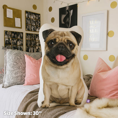 Custom Pet Pillow For Dorm Room