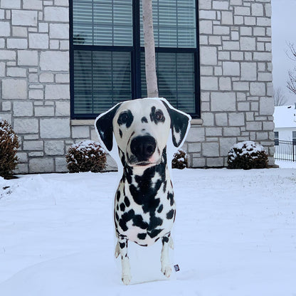 Dalmatian Custom Shaped Pillow