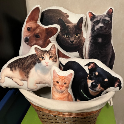 10" Mini Almohada Personalizada en Forma