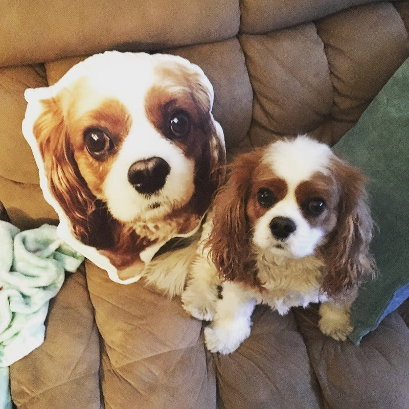 Cocker Spaniel Custom Shaped Pillow