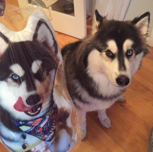 Husky Custom Shaped Pillow