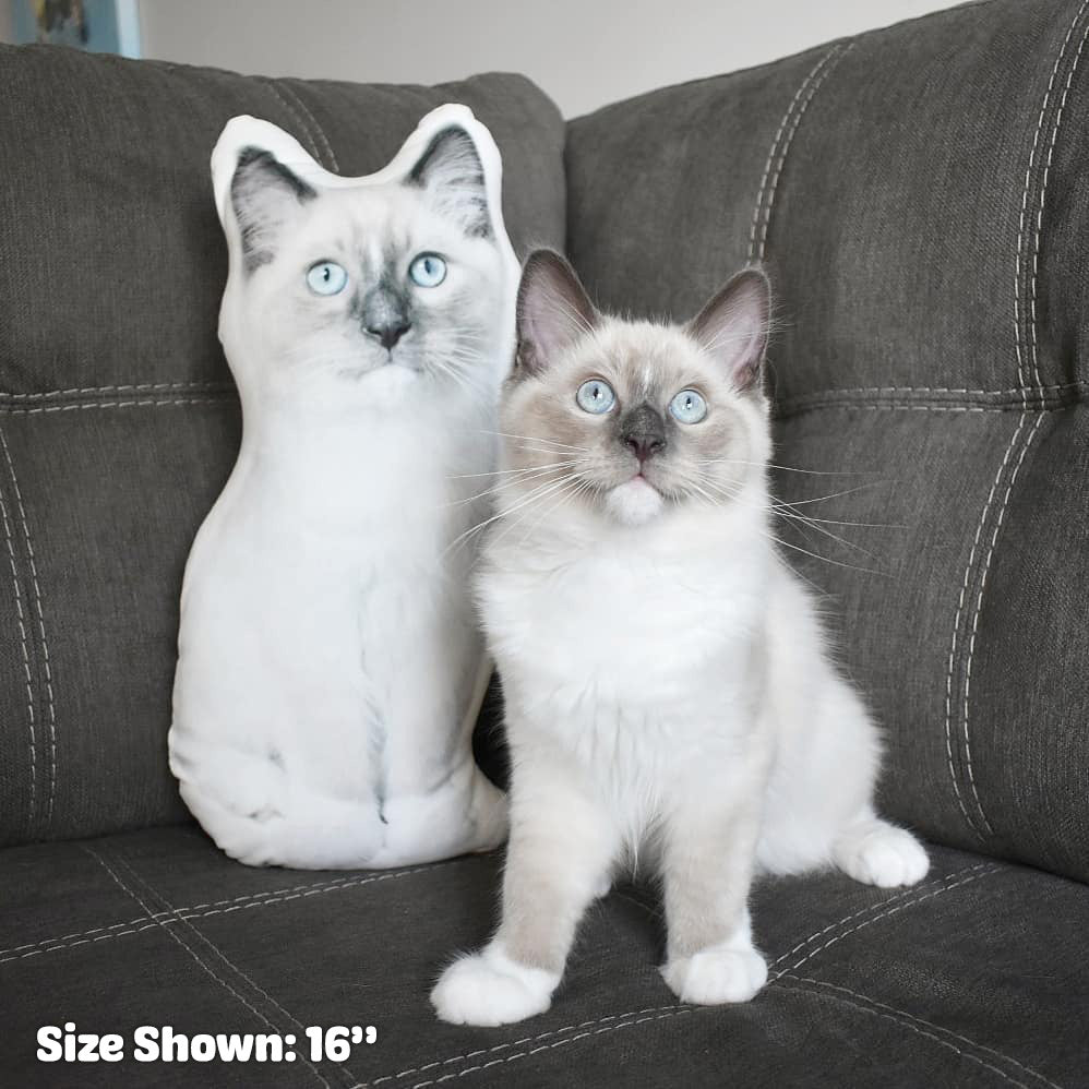 Custom Shaped Pillow For Cat Parents