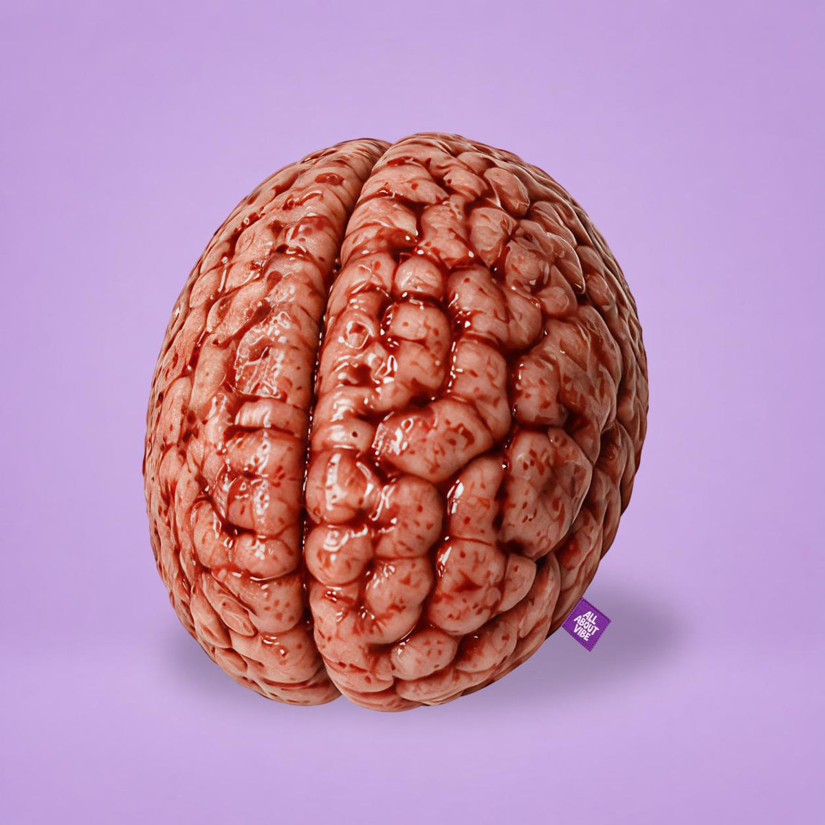 Bloody Brain Pillow | All About Vibe (auction)