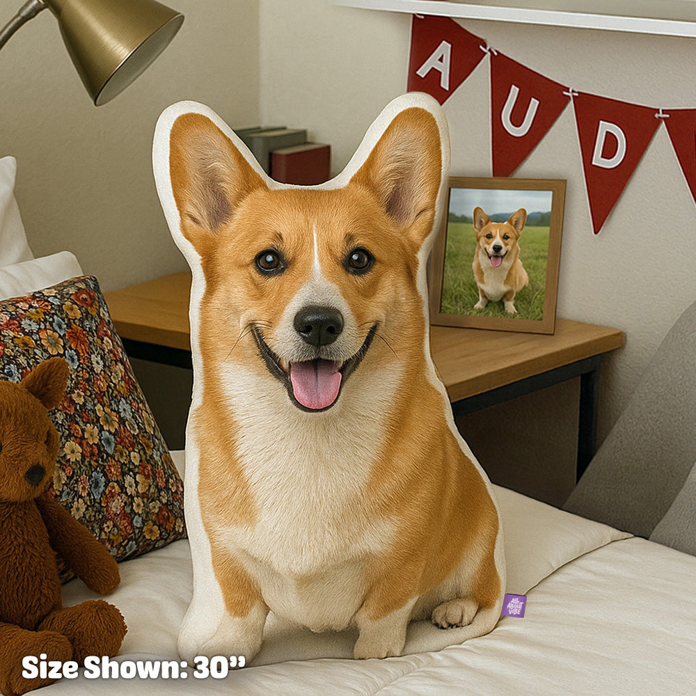 Custom Pet Pillow For Dorm Room