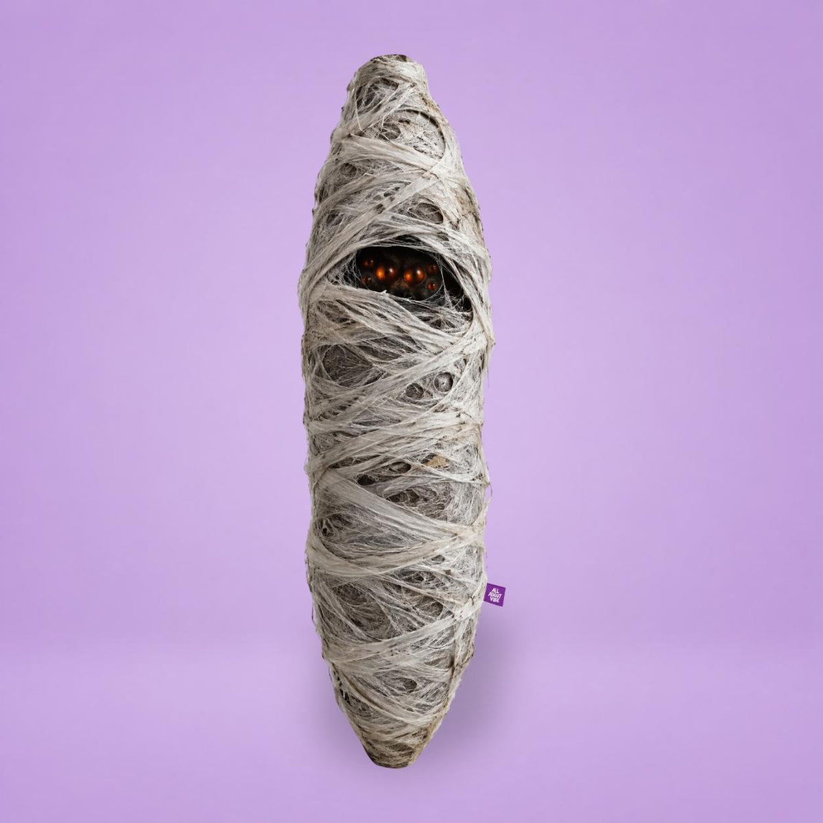 Large Mummy Spider Pillow   | All About Vibe (auction)