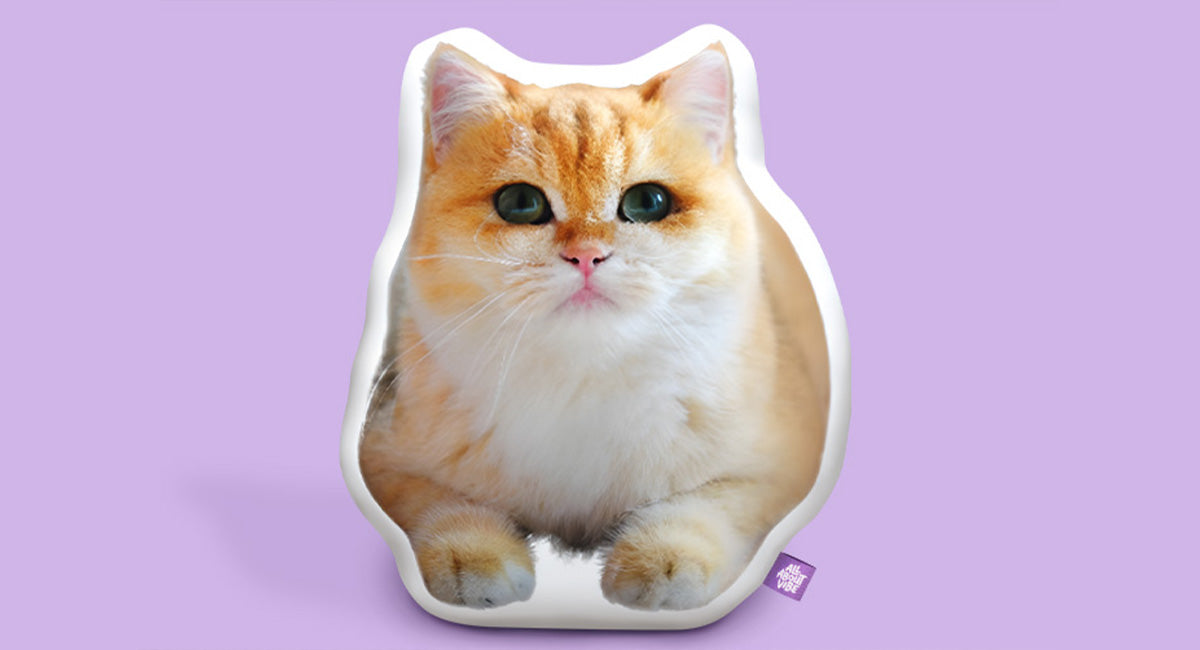 Your Pillow