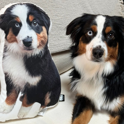 Australian Shepherd Custom Shaped Pillow