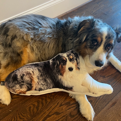 Australian Shepherd Custom Shaped Pillow