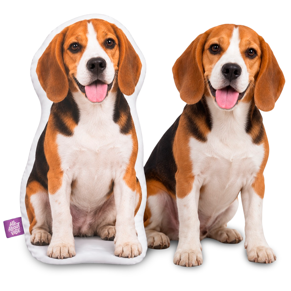The Perfect Personalized Beagle Gift for Every Occasion