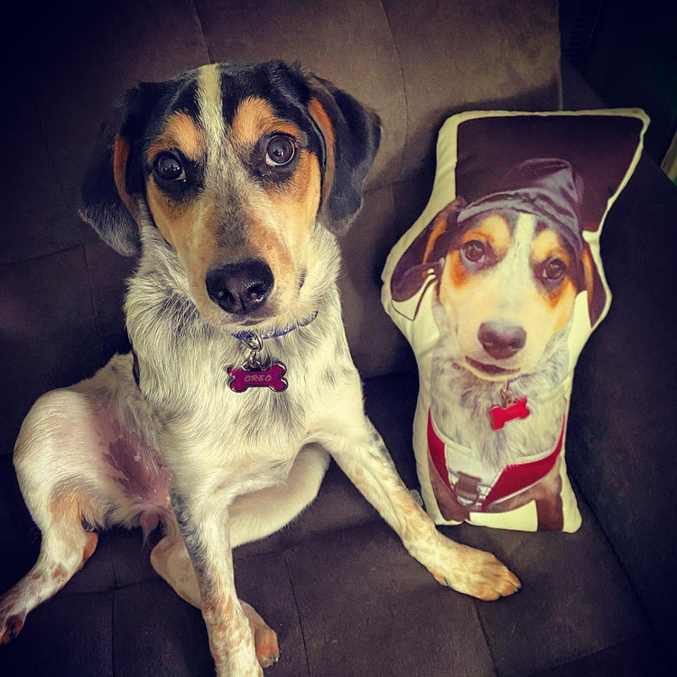 Almohada Personalizada con Forma de Beagle
