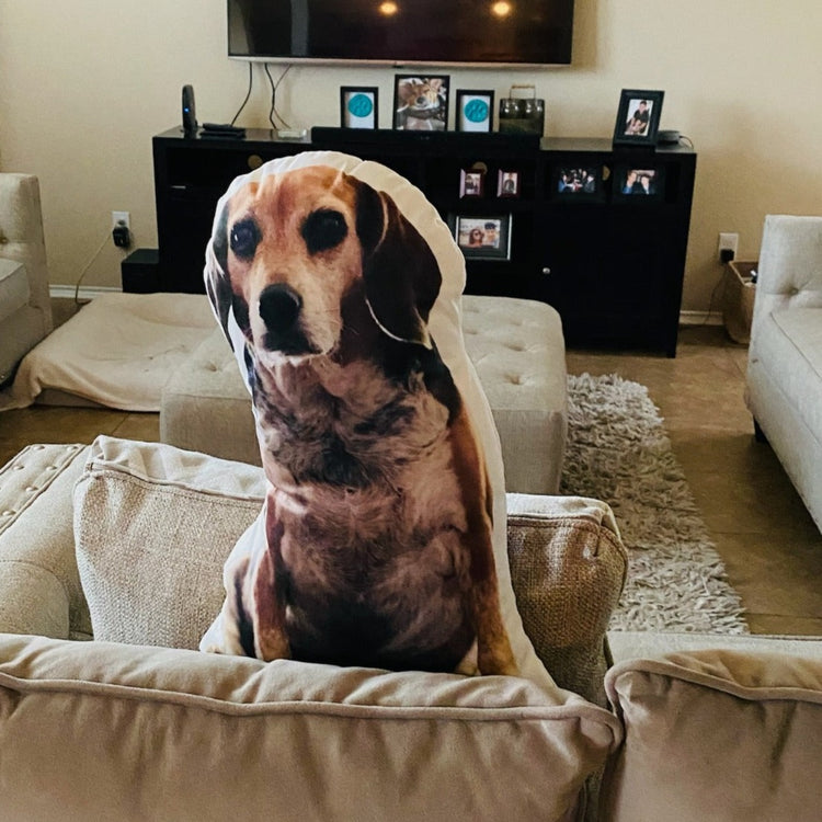 Almohada Personalizada con Forma de Beagle