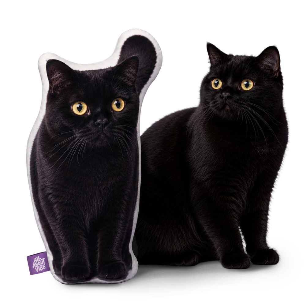 The Perfect Personalized Black Cat Gift for Every Occasion