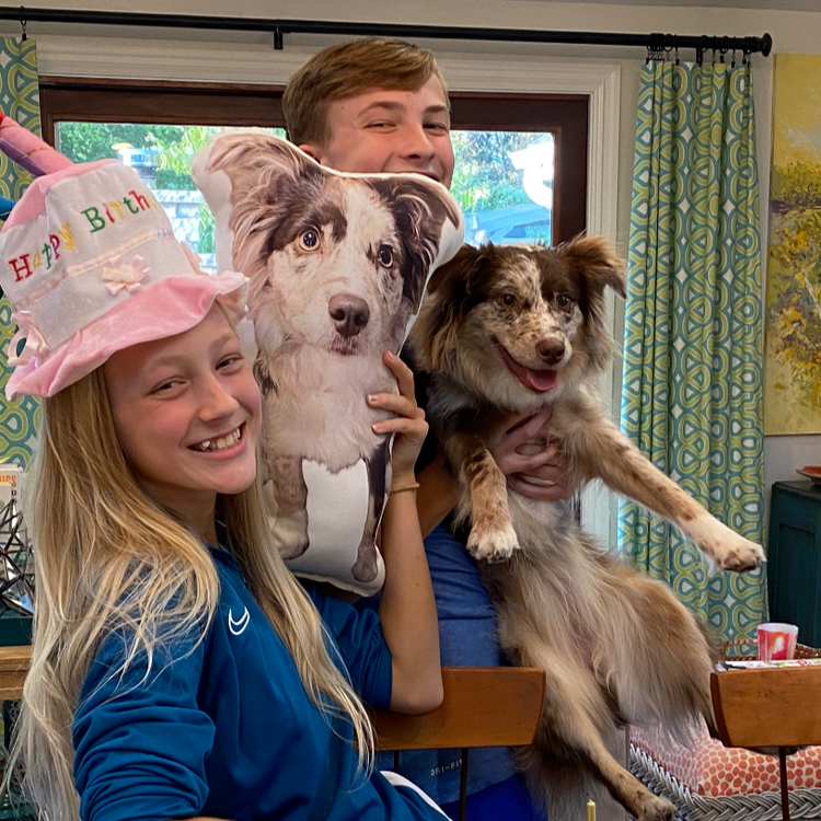 Border Collie Custom Shaped Pillow
