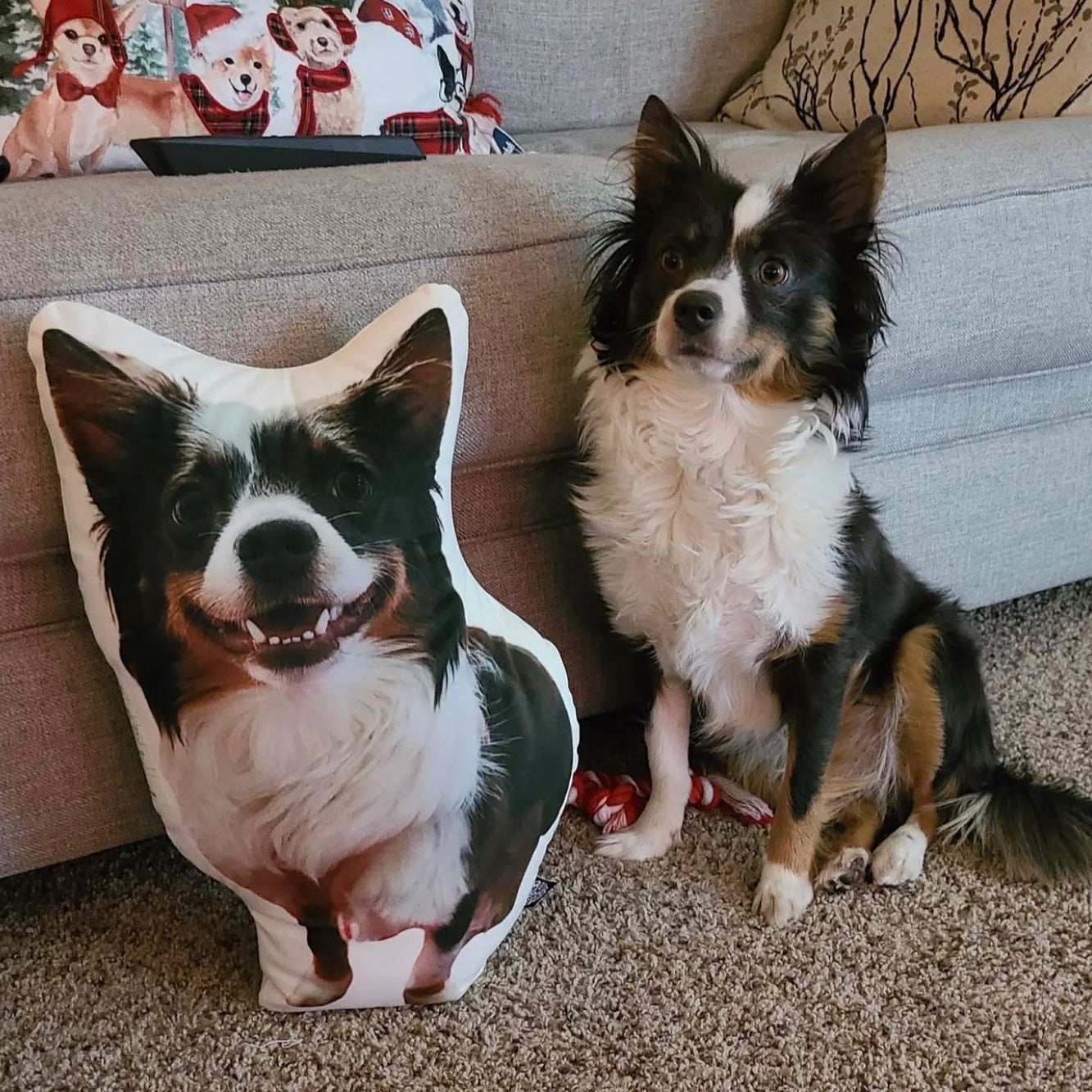 Border Collie Custom Shaped Pillow