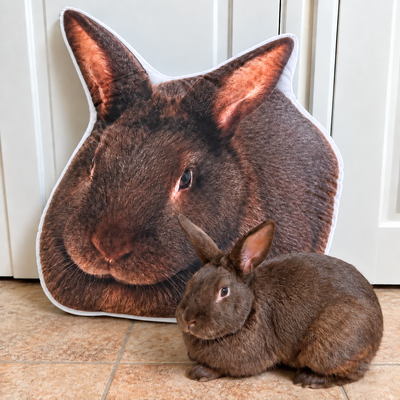 Size: Large