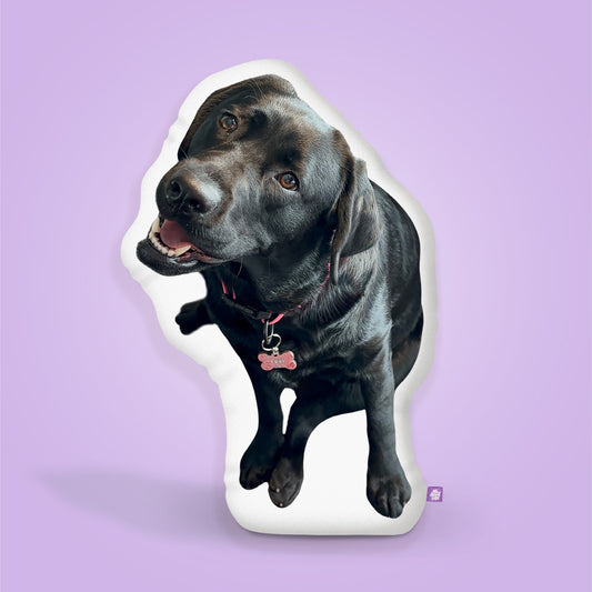 Lexi Labrador Pillow