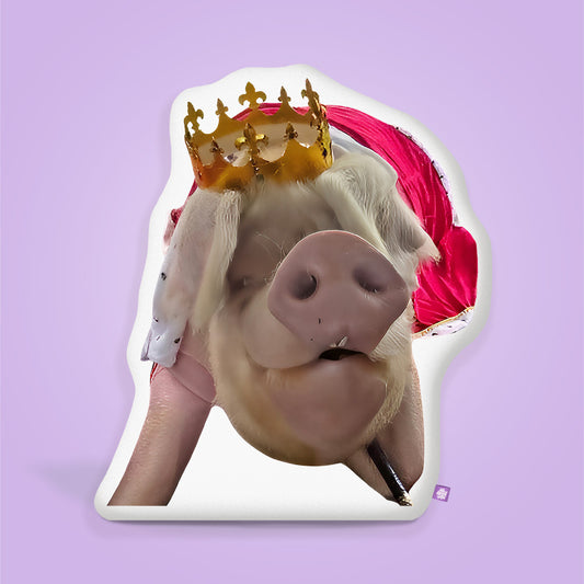 Hampton Hamilton Pigglesworth Pillow