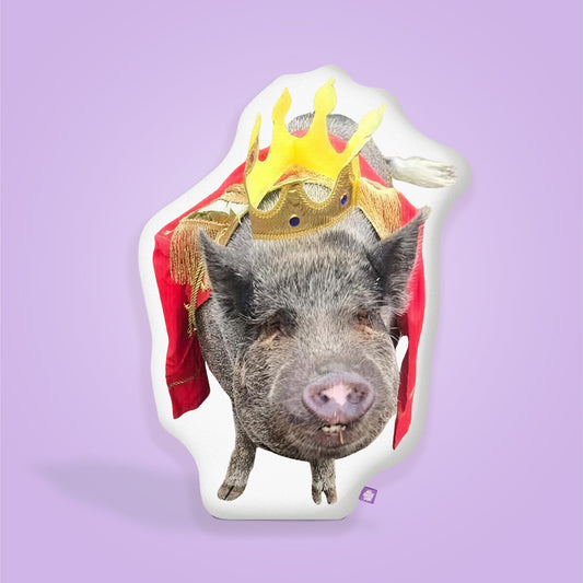 Fritz Fitzgerald Pigglesworth Pillow