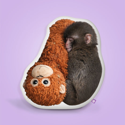 Punch The Monkey Pillow