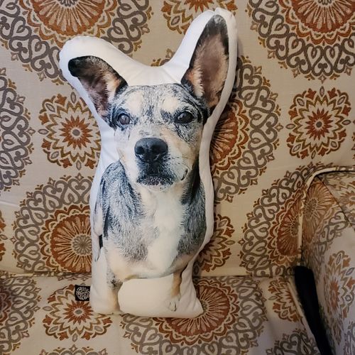 Catahoula Custom Shaped Pillow