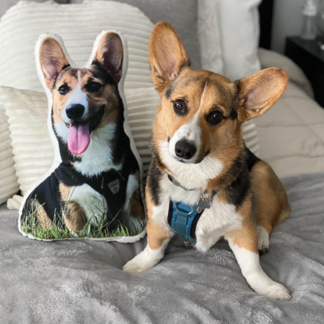 Corgi Custom Shaped Pillow